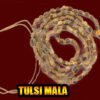 Tulsi Mala - Peace Prosperity & Purity